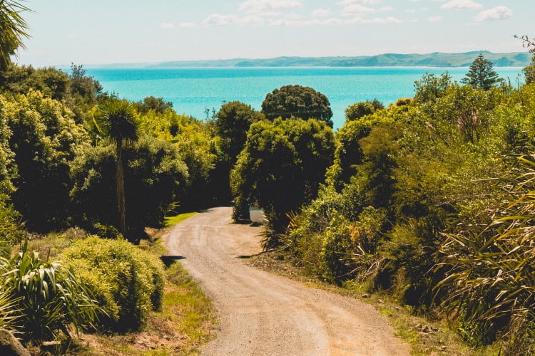Neuseelands Gravel Roads sind öfters auch mal einspurig