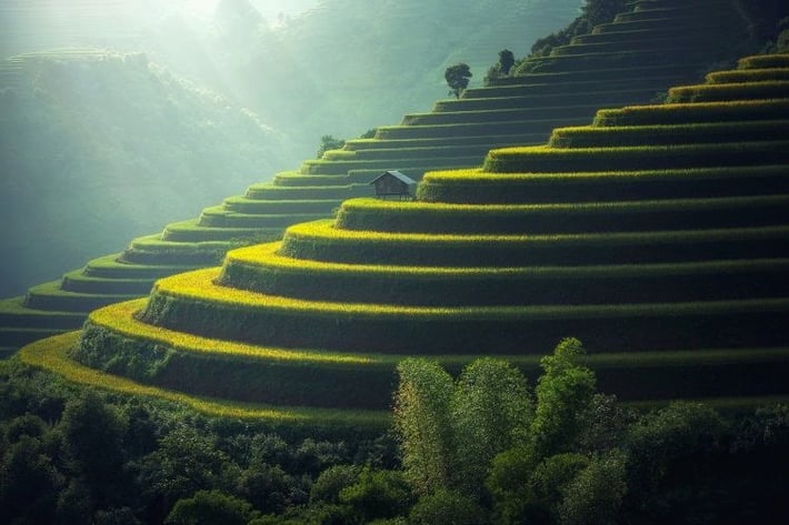 Reisterrasse auf Bali