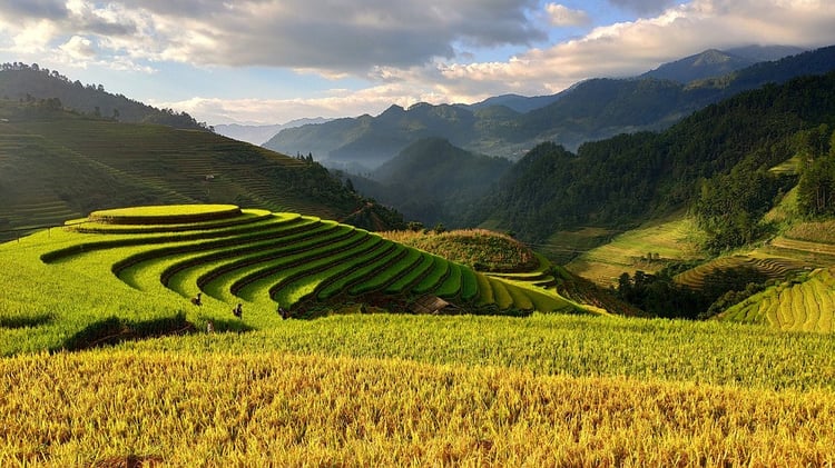 Weite Reisterrassen in Vietnam