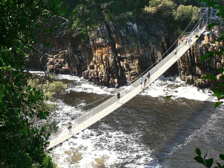 Hängebrücke über Wasser im Tsitsikamma National Park  