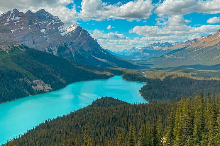 Peyto Lake in den Rocky Mountains in Kanada