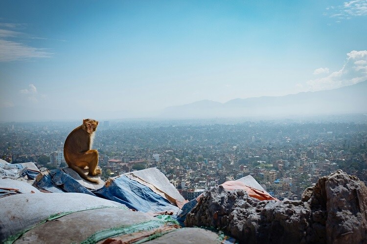 Blick auf Kathmandu von Swayambhunath aus, Nepal