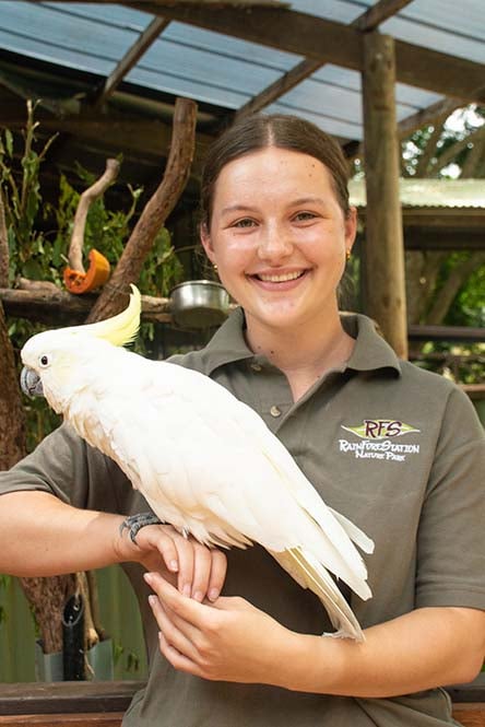 AIFS Freiwilligenarbeit Australien: Freiwillige inmitten des Regenwalds hält Papagei – Engagiere dich mit AIFS für sinnvolle Erfahrungen.