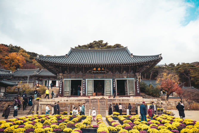 aifs-suedkorea-daegu-tempel-personen-2-program-carousel-668x1000