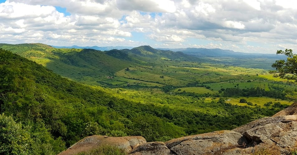 Natur in Eswatini genießen mit AIFS