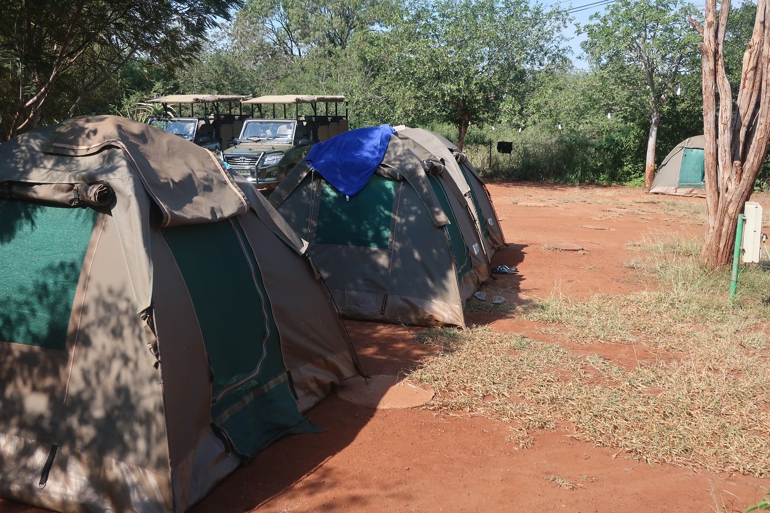Camping im Kruger Nationalpark mit AIFS
