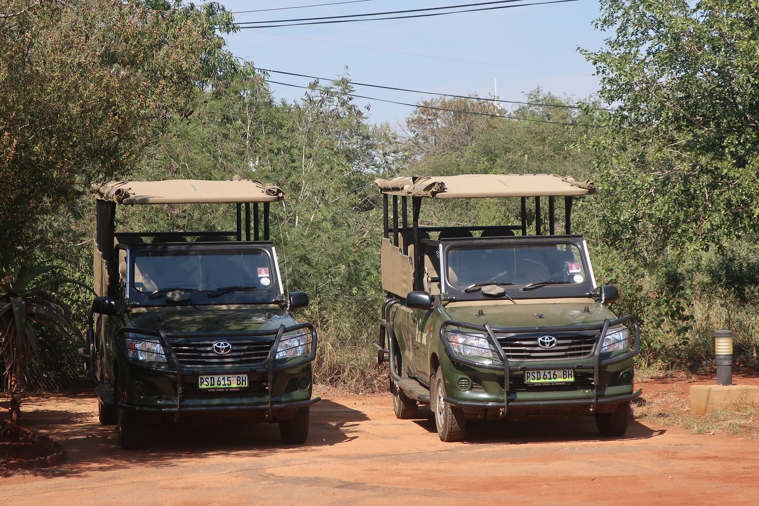 Safari im Kruger Nationalpark mit AIFS
