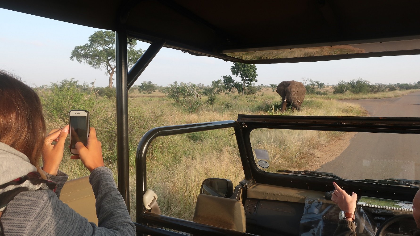 adventure-trip-südafrika-wagen-safari-kruger-nationalpark-fotos-person
