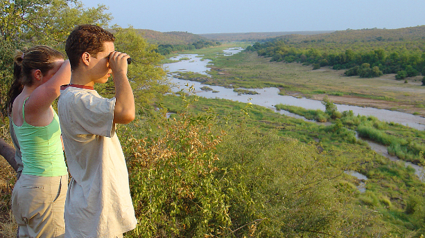 Tiere sichten im Kruger Nationalpark mit AIFS