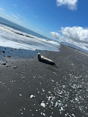 aifs-adventure-trip-island-robbe-strand-ugc