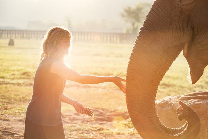 aifs-adventure-trip-thailand-chiang-mai-elefant