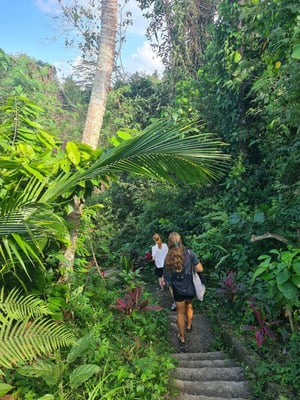 aifs-adventure-trips-bali-ugc-irinip-personen-dschungel