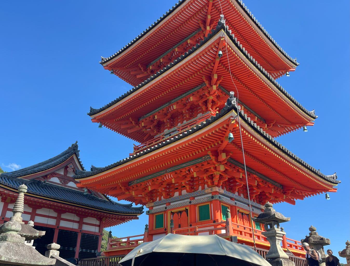 Erfahrungen Adventure Trips in Japan mit AIFS