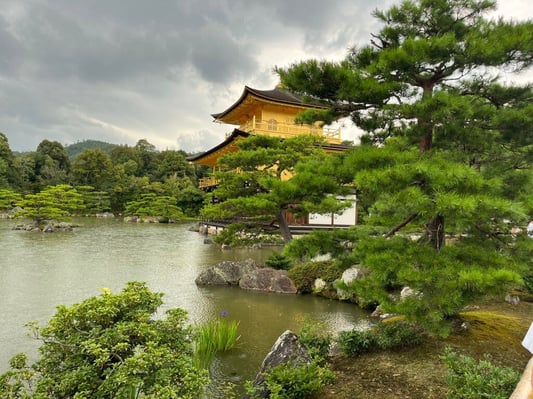 aifs-adventure-trips-japan-ugc-clemensa-Kyoto-3