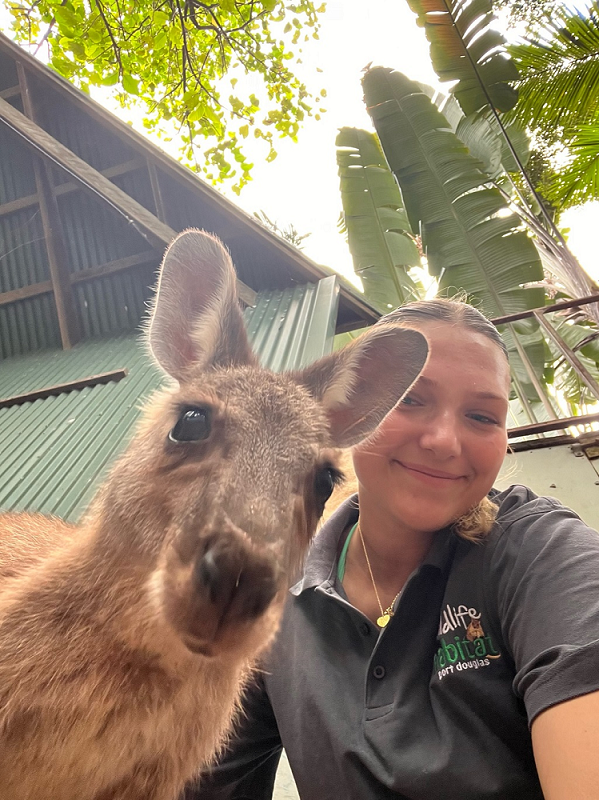 Freiwilligenarbeit in Australien im Wildlife Habitat mit AIFS