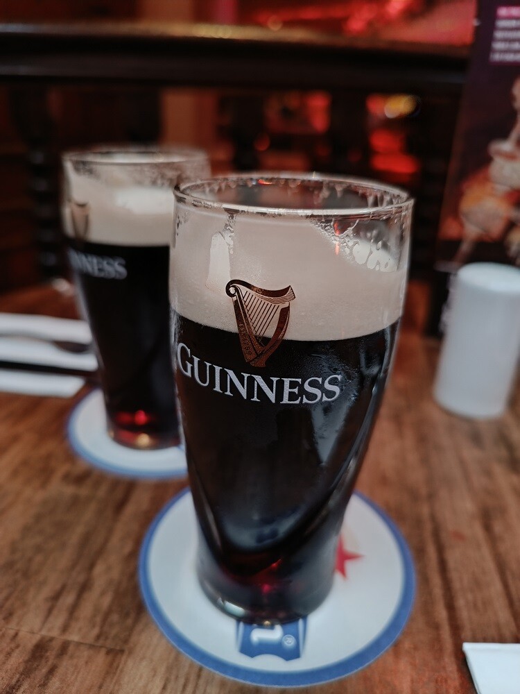 aifs-farmwork-erfahrungen-irland-sophie-guiness