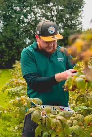 aifs-farmwork-person-arbeit-obst