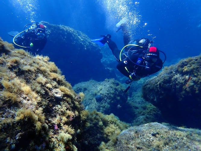 Schütze das Meer in Griechenland mit AIFS