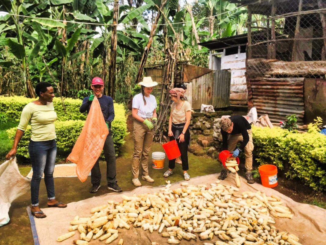 aifs-freiwilligenarbeit-tansania-trees-for-future-community-work-partnerfotos-mais