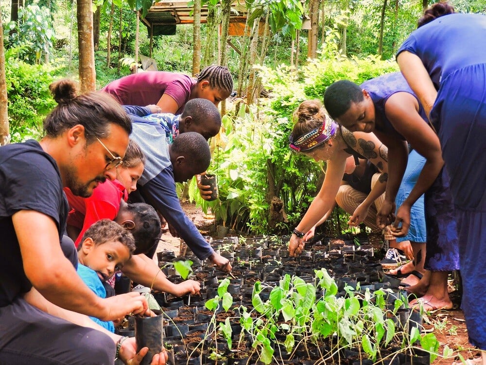 aifs-freiwilligenarbeit-tansania-trees-for-future-partnerfotos-baumschule-bäume-pflanzen