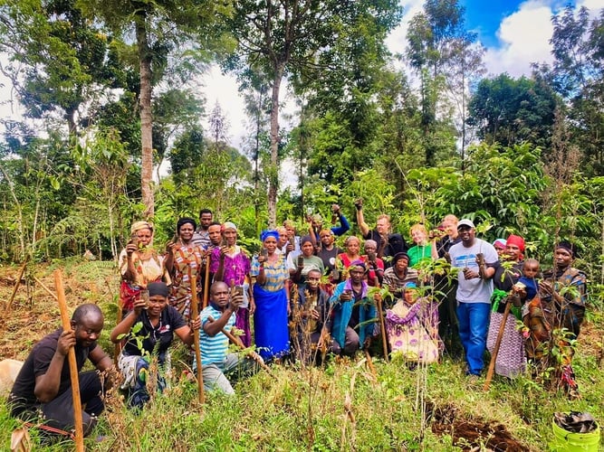 aifs-freiwilligenarbeit-tansania-trees-for-future-partnerfotos-baumschule-gruppenfoto