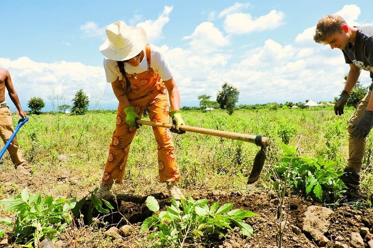 aifs-freiwilligenarbeit-tansania-trees-for-future-partnerfotos-baumschule-person-feld