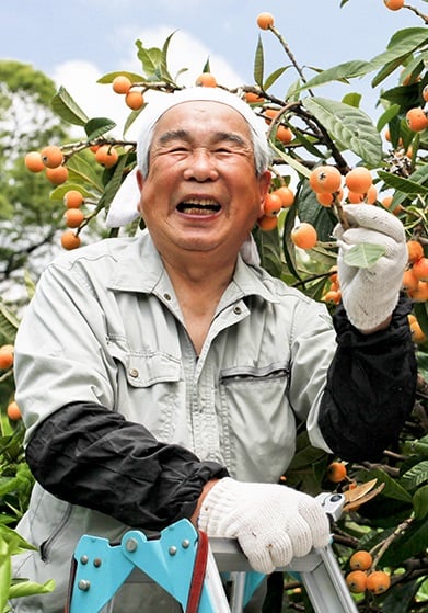 aifs-japan-farmwork-person-ernte