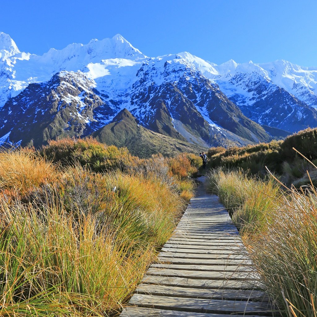 aifs-neuseeland-berg-landschaft-weg