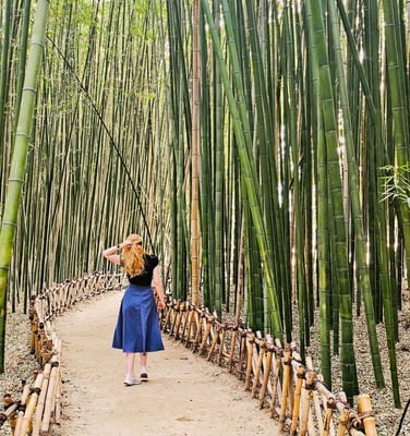 aifs-work-and-travel-südkorea-ugc-saskiar-@always_be_sas_kia-person-bäume-weg