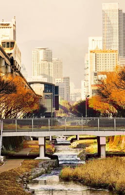 aifs-work-and-travel-südkorea-ugc-saskiar-@always_be_sas_kia-stadt-bach