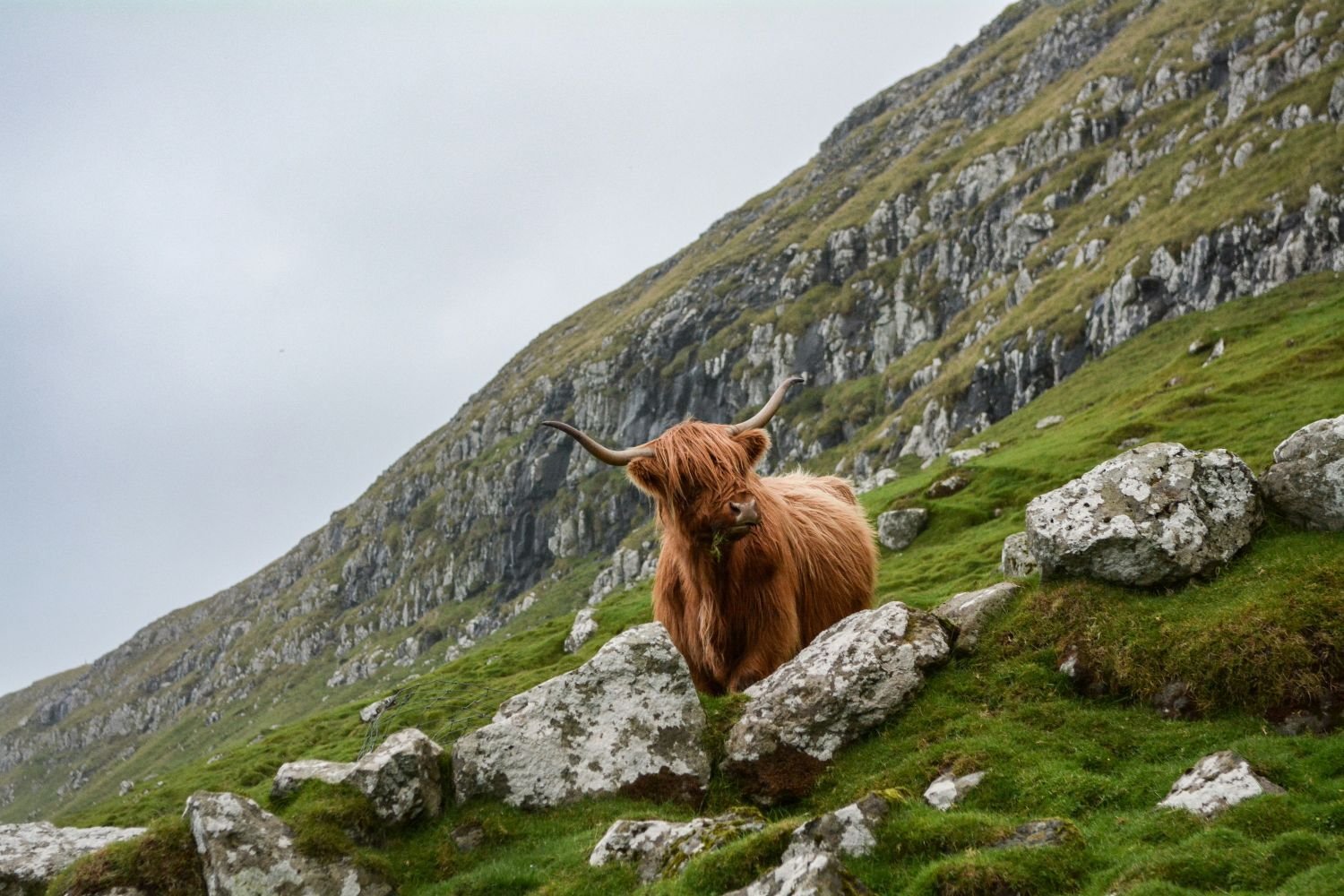 globerocker Reisen nach Schottland