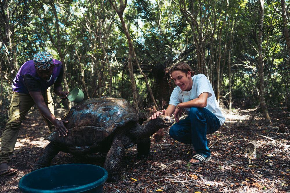 aifs-freiwilligenarbeit-sansibar-schildkroete-personen