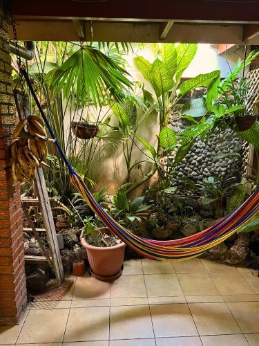 Hängematte in einer Gastfamilie beim Auslandssemester in Costa Rica mit AIFS