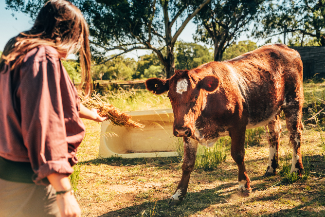 aifs-farmwork-person-kuh-tier-program-carousel-668x1000