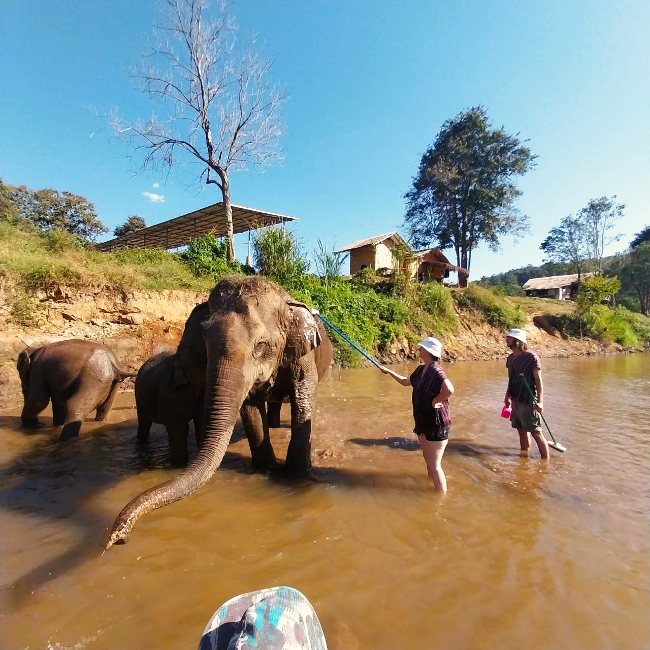 Erfrischende Verbindung: AIFS Adventure Trip - Elefantenwoche in Thailand mit Wasserfreuden und faszinierender Gesellschaft