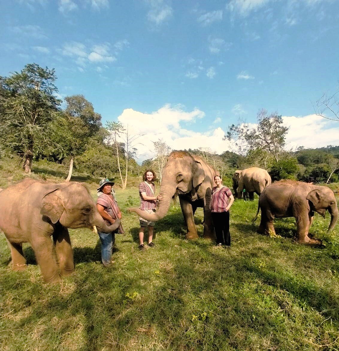 Idyllische Momente: AIFS Adventure Trip - Elefantenwoche in Thailand auf einer grünen Wiese mit freundlichen Menschen