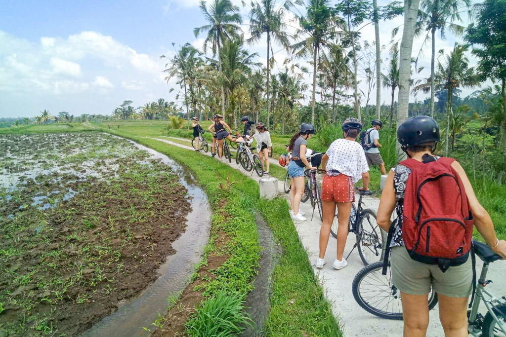 AIFS Bali Adventure Week: Radfahren in Ubud – Erlebe intensive Naturverbundenheit und Abenteuer mit AIFS.