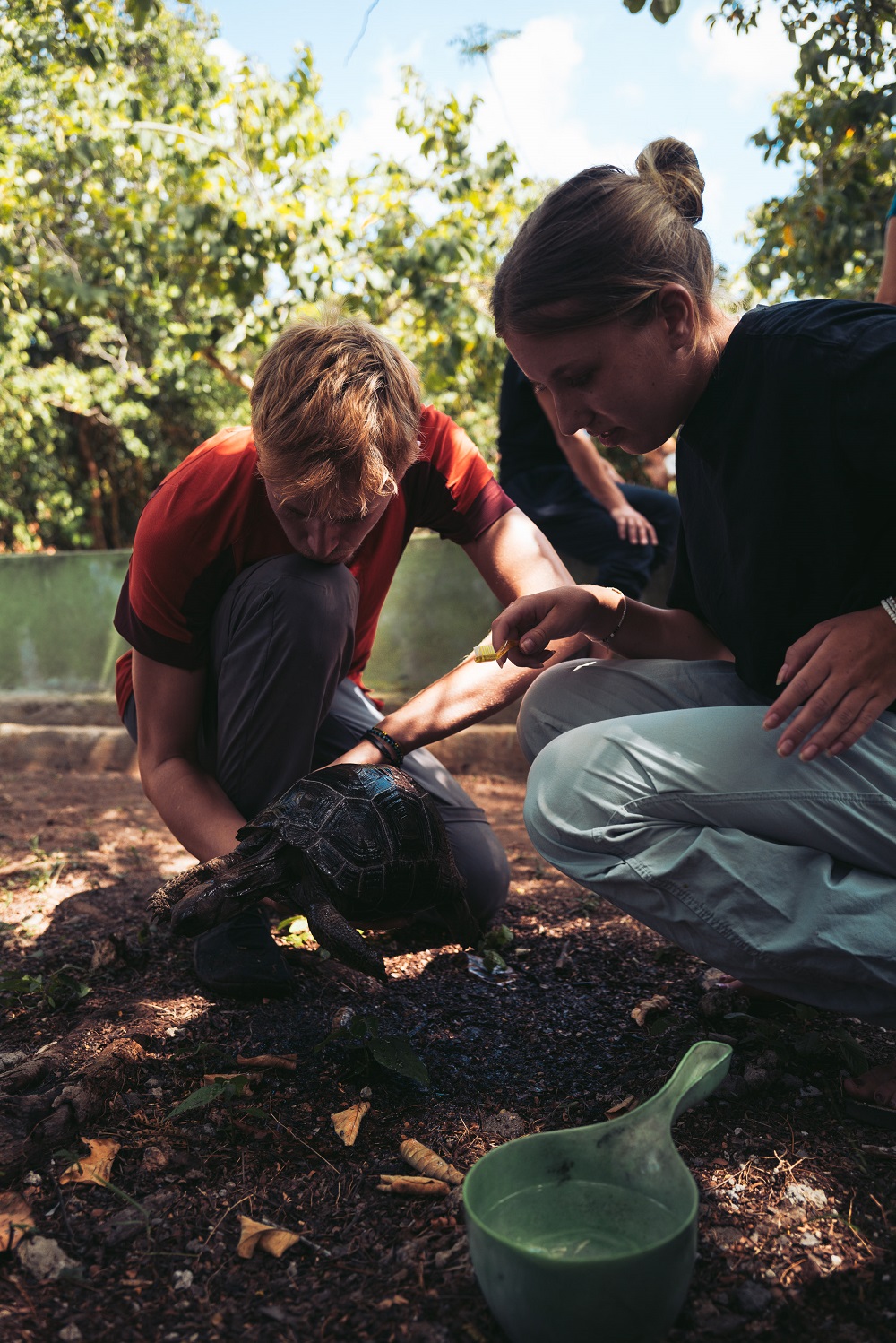 aifs-freiwilligenarbeit-sansibar-schildkröte-personen-2