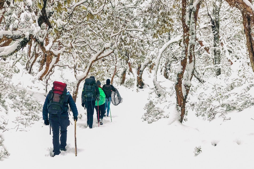 aifs-nepal-freiwilligenarbeit-freizeitwochen-poon-hill-trekking-week-personen-schnee-winter