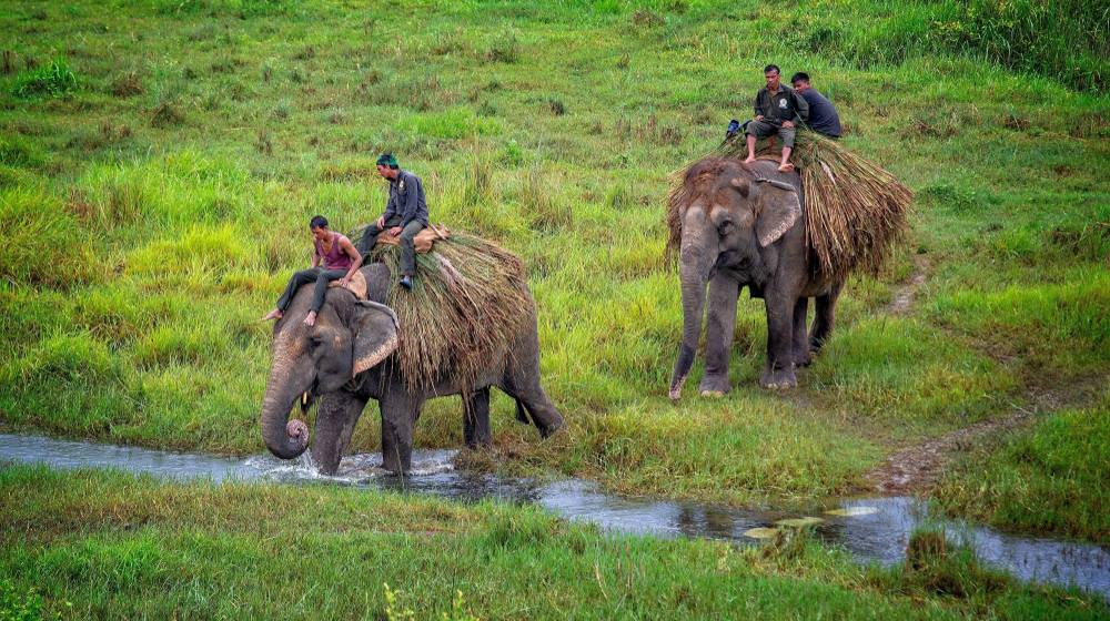 aifs-nepal-insidertipps-citwan nationalpark