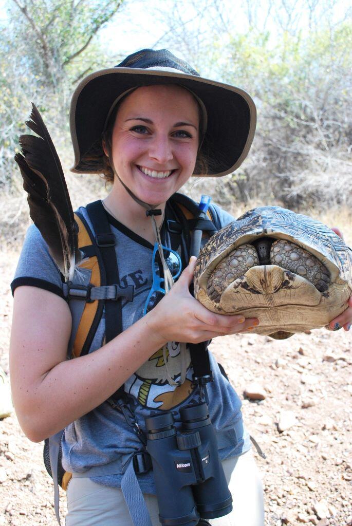 aifs-swasiland-eswatini-freiwilligenarbeit-savannah-conversation-person-schildkroete